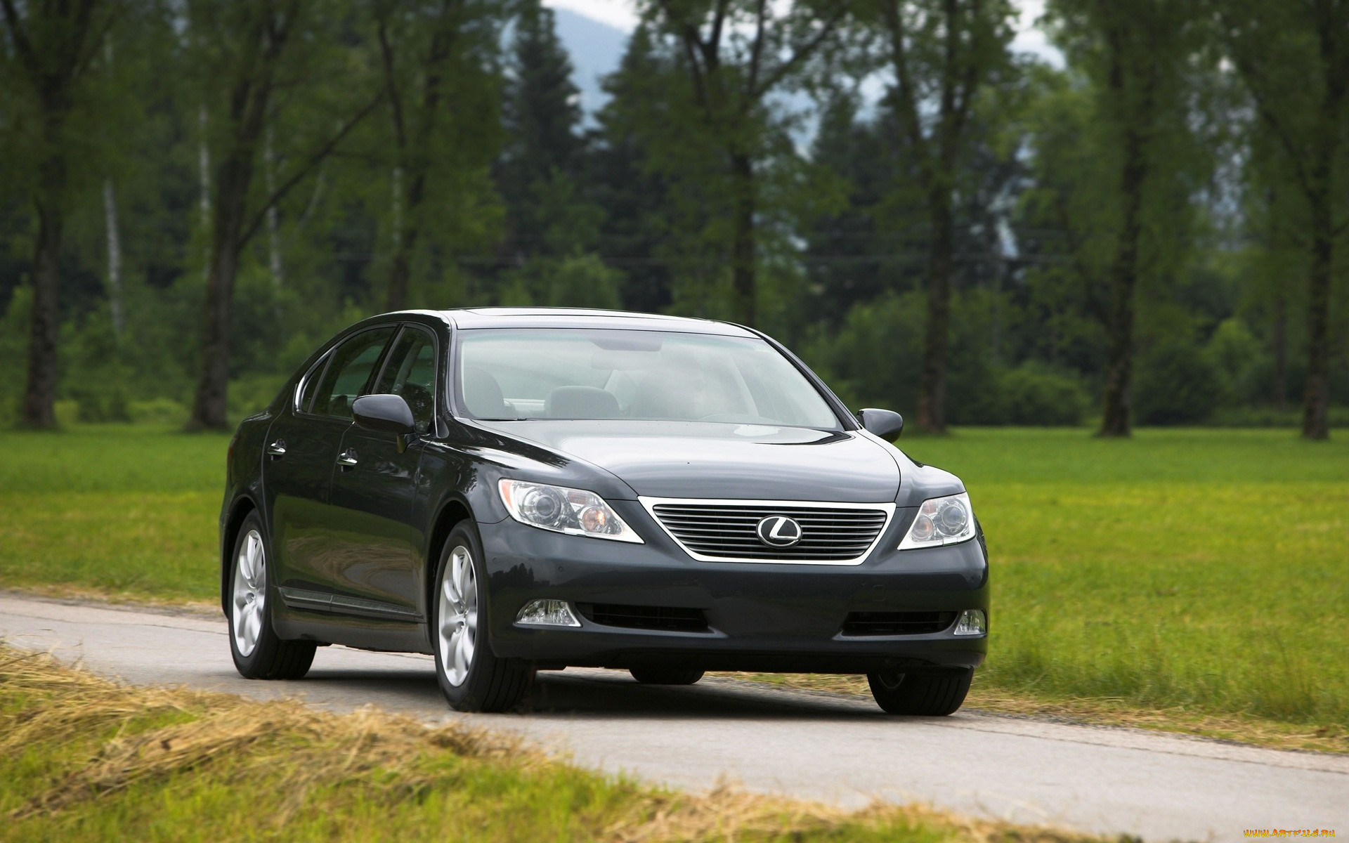 , lexus